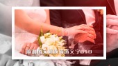 水墨清新情侣婚礼画册图片展示场景10预览图