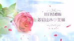 玫瑰花瓣浪漫婚礼幻灯片电子相册场景2缩略图