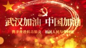 武汉加油疫情宣传视频场景9预览图