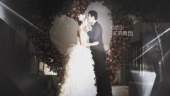浪漫求婚深情表白婚纱照婚礼开场相册视频场景9预览图