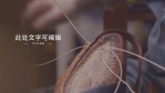 精美简约品牌鞋子宣传推广视频场景4缩略图