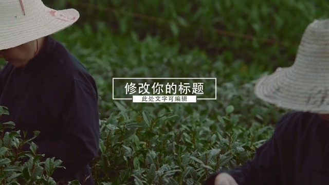 清新简约茶产品宣传展示视频缩略图