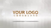 白金奢华企业财务报告片头logo视频场景1预览图