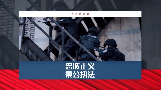 大气党政专用警察维稳治乱宣传视频场景3预览图