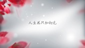浪漫粉色玫瑰花瓣结婚典礼MV相册场景1预览图