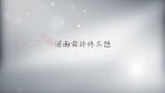 浪漫粉色玫瑰花瓣结婚典礼MV相册场景12缩略图