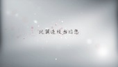 浪漫粉色玫瑰花瓣结婚典礼MV相册场景15预览图
