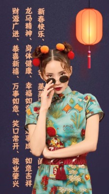 中国风鼠年新春快乐个性拜年视频场景2预览图