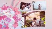 浪漫唯美三八女神节节日祝福视频场景9预览图