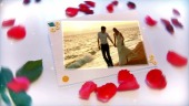 浪漫玫瑰花瓣夫妻婚纱照相册展示视频场景11预览图