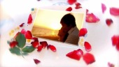 浪漫玫瑰花瓣夫妻婚纱照相册展示视频场景14预览图