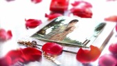 浪漫玫瑰花瓣夫妻婚纱照相册展示视频场景7预览图