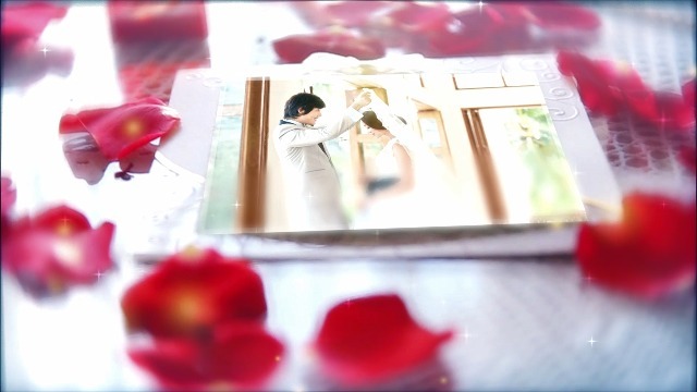 浪漫玫瑰花瓣夫妻婚纱照相册展示视频场景6预览图