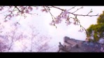 迷失东京文艺旅行视频相册场景3缩略图