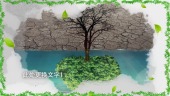 水墨风格312植树节宣传视频场景2预览图