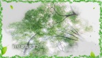 水墨风格312植树节宣传视频场景4缩略图