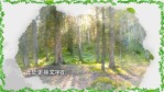 水墨风格312植树节宣传视频场景10缩略图
