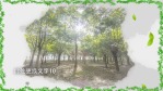 水墨风格312植树节宣传视频场景12缩略图