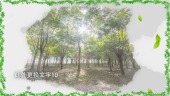 水墨风格312植树节宣传视频场景11预览图