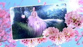 桃色浪漫婚礼视频场景2预览图