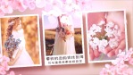 浪漫粉色花朵520情人节图文相册场景3缩略图