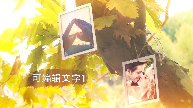 梦幻森林浪漫婚礼纪念相册场景3预览图