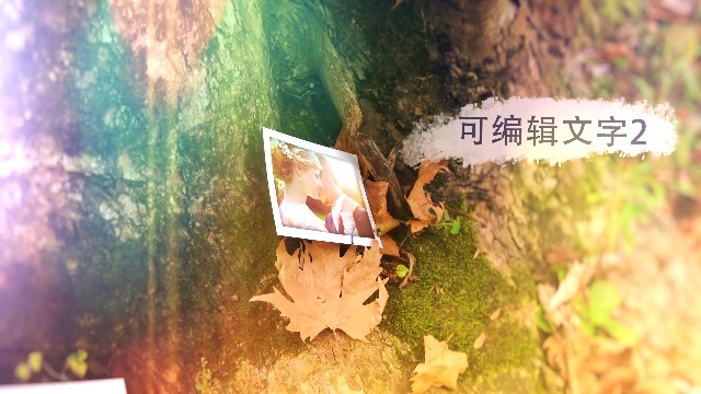 梦幻森林浪漫婚礼纪念相册场景4预览图