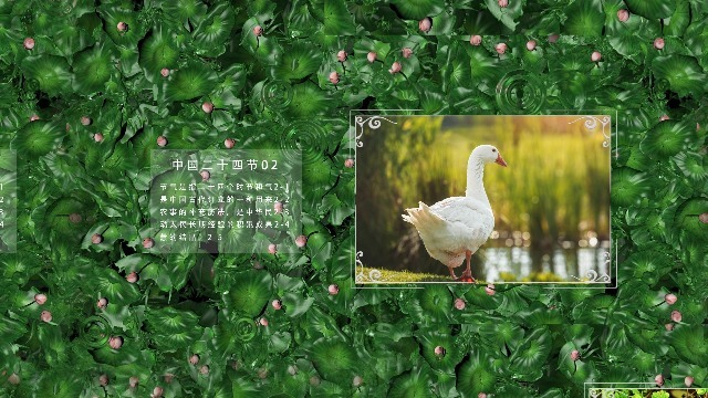 中国传统二十四节之立夏宣传视频场景3预览图