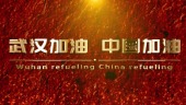武汉加油新冠状病毒疫情宣传视频场景8预览图