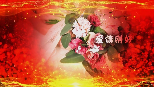 唯美大气中国红浪漫婚礼相册场景5预览图