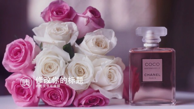 欧美时尚香水广告宣传视频场景2预览图