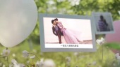 浪漫新人结婚照片相册视频场景9预览图