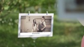 浪漫新人结婚照片相册视频场景13预览图
