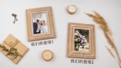简约大气木棉婚礼婚庆展示相册场景3预览图