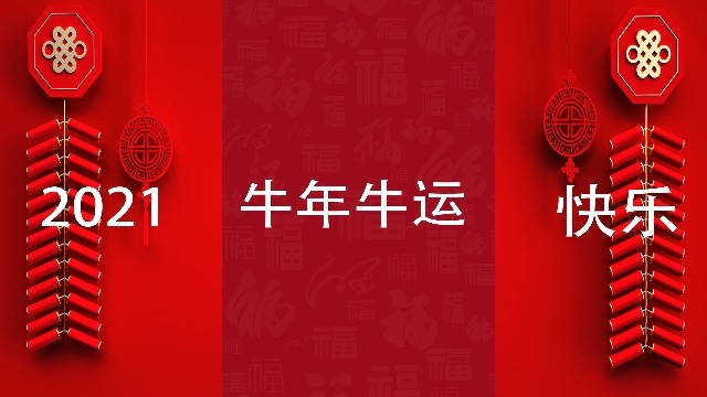 中国红喜庆2021新年新春春节祝福拜年快闪字幕缩略图