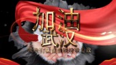 武汉加油金属字体图文宣传视频场景7预览图