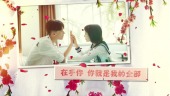 中国风花瓣飘落爱情表白婚礼相册场景10预览图