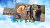 清新312植树节活动宣传视频场景7预览图