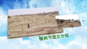 清新312植树节活动宣传视频场景3预览图