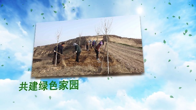 清新312植树节活动宣传视频场景5预览图