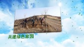 清新312植树节活动宣传视频场景4预览图