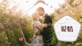 可爱小清新婚礼婚庆相册展示场景4预览图