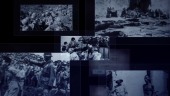 国家公祭日纪念死难者视频场景5预览图