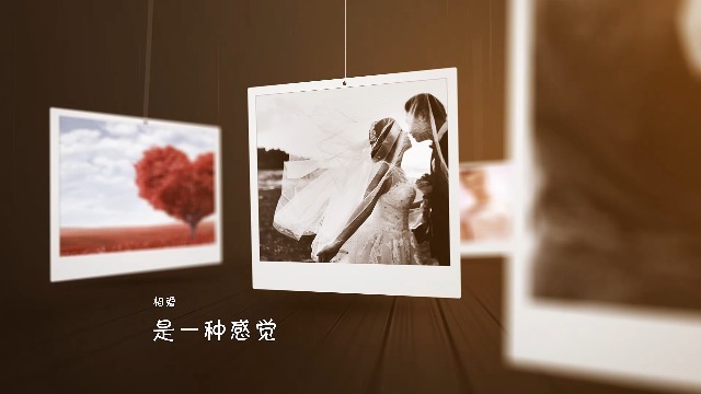 悬挂照片移动婚礼表白相册展示场景4预览图