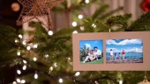 欢乐城堡圣诞树萌娃电子相册场景12预览图