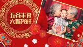 中国红金鼠送福新春祝福视频场景12预览图