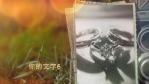 清新草地浪漫婚礼爱情纪念相册场景10缩略图