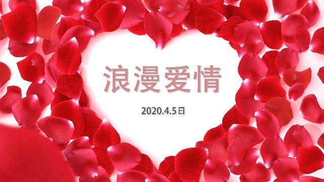 浪漫玫瑰花瓣婚礼爱情图文视频场景2预览图