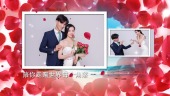 浪漫玫瑰花瓣婚礼爱情图文视频场景3预览图