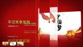 党政风红色大气红心向党忠贞不渝宣传视频场景2预览图